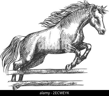 Starkes Pferd läuft und springt über Barriere. Ausgebildeter Mustang Hengst auf Hippodrome Sport Pferderennen Springen über Zaun. Vektorskizze Stock Vektor