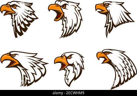 Weißkopfseeadler Vektor-Embleme-Set. Isolierte Ikonen des Falken mit Schnabel, raues Weinen, wütender Blick. Falcon-Label für Maskottchen-Abzeichen des Sportteams, Schutzschild, Stock Vektor