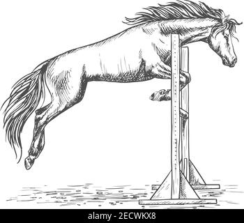 Weißes Pferd Rennen und springen über Barriere Skizze Porträt. Ausgebildeter Mustang Hengst auf Hippodrome Sport Pferderennen Stock Vektor
