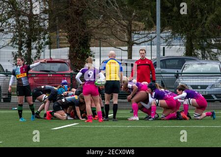 Surrey, Großbritannien. Februar 2021, 13th. Scrum während des Allianz Premier 15s Spiels zwischen Harlequins Women und Loughborough Lightning in Cobham, Surrey, England. Kredit: SPP Sport Presse Foto. /Alamy Live Nachrichten Stockfoto