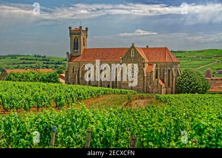 Kirche Saint-Germain im Dorf Fuissé, Pouilly Fuissé, in der Region Burgund in Zentralfrankreich. Stockfoto