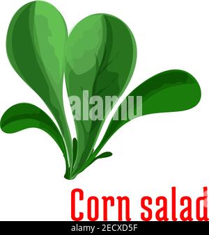 Maissalat Blatt Gemüse Cartoon-Symbol mit dunkelgrünen Rosette aus abgerundeten Blättern. Gesunde vegetarische Lebensmittel, Bio-Anbau und Salat Rezept Design Stock Vektor
