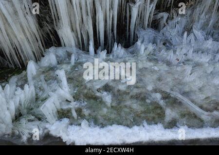 Eine Hecke am Straßenrand, die vollständig mit Eis bedeckt ist, von dem durch vorbeifahrenden Verkehr aufgesprüht wird. Pett Level Road, in der Nähe von Hastings, East Sussex, England, Großbritannien Stockfoto