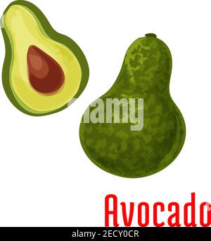 Avocado Obst Vektor Farbe Skizze Symbol. Isolierte ganze und halb geschnitten Avocado. Diät grüne Frucht Emblem für Produkt Aufkleber, Farm Store Design-Element Stock Vektor