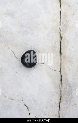 Ein schwarzer, eiförmiger Felsen auf einem gebrochenen weißen Hintergrund aus weißem Kalkstein. Stockfoto