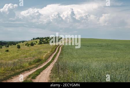 Feldweg in ländlicher, landwirtschaftlicher Landschaft, Gewitterwolken am Horizont Stockfoto