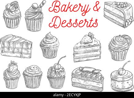 Backwaren und Gebäck Desserts Skizzen von Schokoladenkuchen, Cupcake, Muffin, Obst Dessert und Beerentorte, gekrönt mit Sahne, Kirsche, Erdbeere und Blauer Stock Vektor