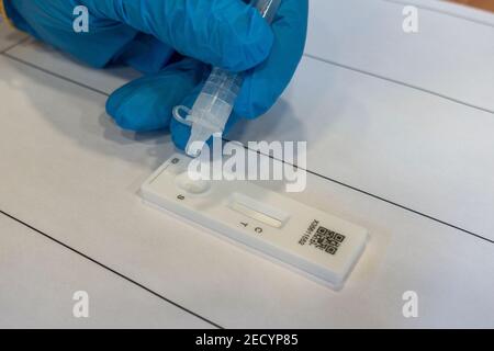 Tester wird zwei Tropfen auf einen Innova Lateral Flow Test (Lateral Flow Device oder LFD) für Covid-19 in einem Covid-Testzentrum der Sekundarstufe in Großbritannien platzieren. Stockfoto