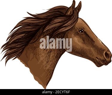 Brauner Pferdekopf isolierte Skizze des laufenden Rennpferdes. Reinrassige arabische Hengst für Pferderennen Symbol, Reitsport Themen Design Stock Vektor