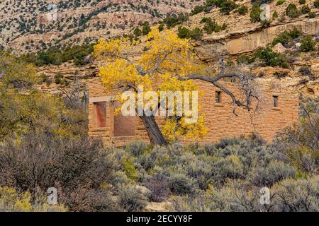 Verlassene Stein- und Holzgebäude in der alten Geisterstadt Sego, Utah, USA Stockfoto