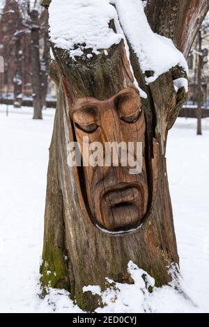 Russland. Vyborg 02.02.2021 Menschengesicht in einem wachsenden Baum geschnitzt. Hochwertige Fotos Stockfoto