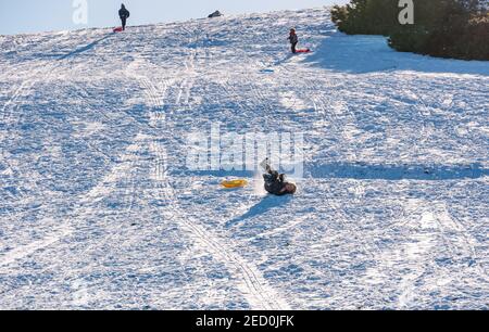 Ein Junge fällt von einem Schlitten Rodeln auf Skid Hill im Winter Sonnenschein und Schnee, East Lothian, Schottland, Großbritannien Stockfoto