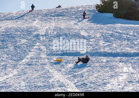 Ein Junge fällt von einem Schlitten Rodeln auf Skid Hill im Winter Sonnenschein und Schnee, East Lothian, Schottland, Großbritannien Stockfoto