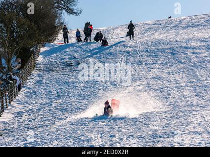 Ein Junge fällt vom Schlitten während Rodeln in Wintersonne und Schnee, East Lothian, Schottland, Großbritannien Stockfoto