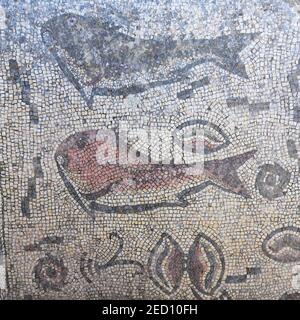 Mosaike mit Fischfiguren, Milreu Ruinen, Estai, Faro Bezirk, Algarve, Portugal Stockfoto