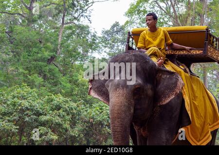 Siem Reap, Kambodscha - 28. März 2018: Junger Mann in traditioneller gelber Kleidung reitet auf einem großen Elefanten. Touristenattraktion in Angkor. Elefantenritt im Park Stockfoto