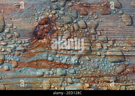 Nahaufnahme der Holzoberfläche in Wassertropfen. Nasse Holzstruktur. Wasser tropft auf einem Rustis Holzbrett. Leerer Platz für Text oder kreatives Design. Stockfoto