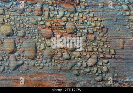 Nahaufnahme der Holzoberfläche in Wassertropfen. Nasse Holzstruktur. Wasser tropft auf einem Rustis Holzbrett. Leerer Platz für Text oder kreatives Design. Stockfoto