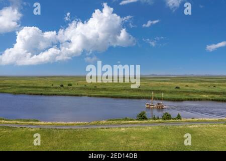 Drohnenbild, Krabbenschneider im Leyhoerner-Sieltief, Greetsiel, Niedersachsen, Deutschland Stockfoto