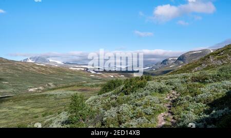 Wanderweg in den Bergen mit Bergen, im hinteren Berg Snohetta, Dovrefjell-Sunndalsfjella Nationalpark, Norwegen Stockfoto