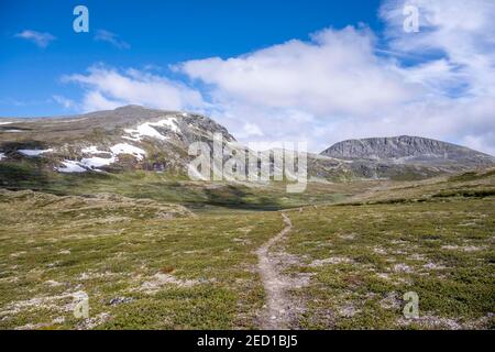 Weg durch die Tundra, karge Landschaft, Dovrefjell Nationalpark, Oppdal, Norwegen Stockfoto