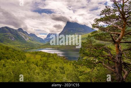 Hochtal Innerdalen mit See Innerdalsvatna, Berge, rechts Innerdalstarnet, Trollheimen Berggebiet, Sunndal, More Og Romsdal, Vestlandet Stockfoto