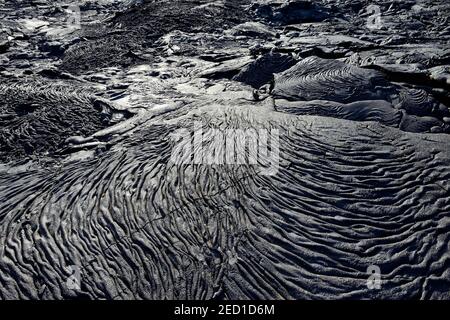 Gestrickte Lava oder Pahoehoe Lava, Detail, Sullivan Bay, Santiago Island, Galapagos, Ecuador Stockfoto