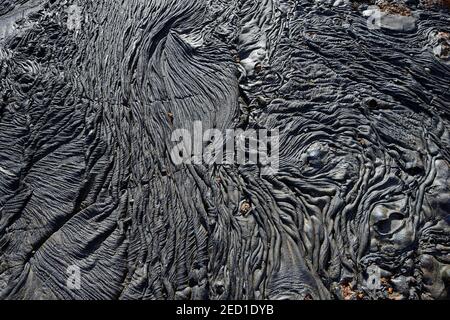 Gestrickte Lava oder Pahoehoe Lava, Detail, Sullivan Bay, Santiago Island, Galapagos, Ecuador Stockfoto