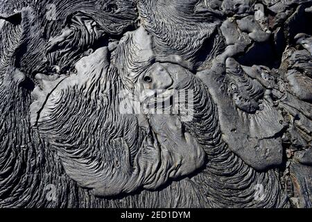 Gestrickte Lava oder Pahoehoe Lava, Detail, Sullivan Bay, Santiago Island, Galapagos, Ecuador Stockfoto