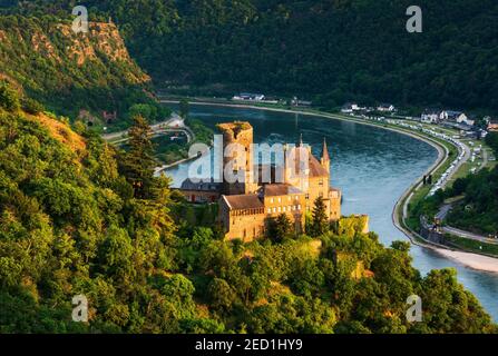 Blick auf Schloss Katz am Rhein, auch Schloss Neukatzenelnbogen, hinten Loreley-Felsen, Abendlicht, Welterbe Oberer Mittelrhein Stockfoto