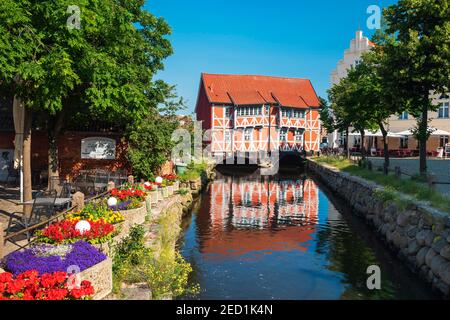 Fachwerkhaus Gewölbe über dem Wasserlauf Grube, Hansestadt Wismar, Mecklenburg-Vorpommern, Deutschland Stockfoto