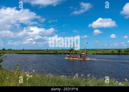 Krabbenschneider im Leyhoerner-Sieltief, Greetsiel, Niedersachsen, Deutschland Stockfoto