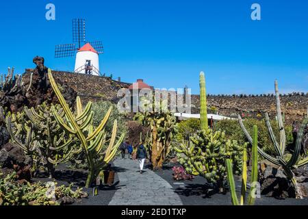 Jardin de Cactus, Kaktusgarten Cesar Manrique, Lanzarote, Kanarische Inseln Stockfoto