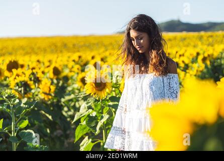 Nachdenkliche ethnische Frau, die im boomenden Sonnenblumenfeld steht und schaut Nach unten Stockfoto