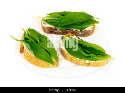 Allium ursinum, bekannt als wilder, breitblättriger oder holziger Knoblauch, Ramsons, Buckrams, Bärlauch oder Bärlauch serviert mit Butter und Brot auf dem Teller Isolat Stockfoto