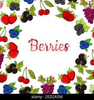 Beeren und Früchte Hintergrund mit fruchtigen Rahmen aus Erdbeere, Kirsche, Traube, Heidelbeere, Himbeere, Brombeere, Johannisbeere und Heidelbeere Früchte mit Stock Vektor