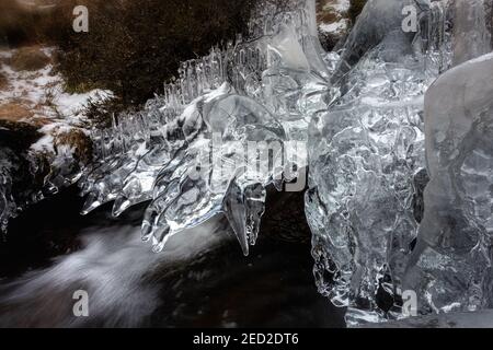 Ilkley, West Yorkshire, Großbritannien. Februar 2021, 14th. Der Fotograf fängt ein, was wie die Krallenhand von Jack Frost aussieht, als er das Land nach einer Woche eisigen Wetters verlässt. Ilkley, West Yorkshire Alamy Credit: Rebecca Cole/Alamy Live News Stockfoto