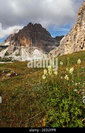 Drei Lavaredo-Gipfel in den Dolomiten Stockfoto