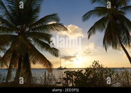 Der wunderschöne Sonnenuntergang auf der Insel Martinique, Französisch-Westindien. Stockfoto