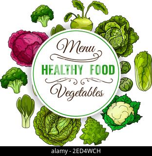 Gesunde Speisekarte. Gemüseposter. Veganer Rohkohl, Brokkoli und Rotkohl, Kohlrabi, chinakohl napa, rosenkohl und Blumenkohl Stock Vektor