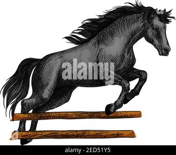 Brauner arabischer Mustang Hengst läuft und springt über Barriere. Farbe Pferd Vektor Skizze für Pferdesport, Reiten, Pferderennen Wette Stock Vektor