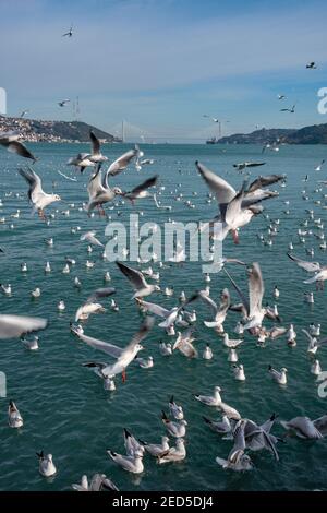 Die Bosporusstraße, Istanbul, Türkei Stockfoto