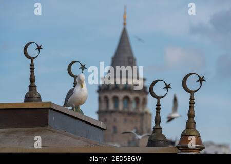 Eminonu und der Galata-Turm in Istanbul, Türkei Stockfoto