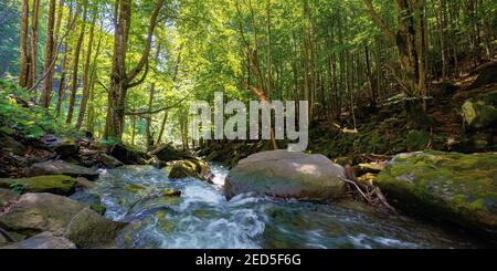 Bergfluss fließt durch Wald. Sommer Natur Landschaft an einem sonnigen Tag. Schnelles Wasser fließt zwischen den Felsen. Bäume am Ufer in üppig grünen Laub Stockfoto