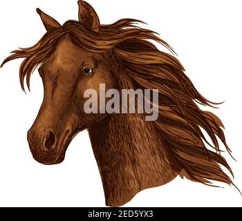 Arabian braun Pferderennen Sport Emblem. Kräftiger, reinrassige Mustang-Hengst trabte. Pferdestute mit welliger Mähne Stock Vektor