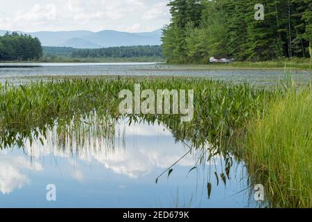 Dieses Wasserflugzeug sitzt auf Berry Pond mit MT Whiteface im Hintergrund. Gelegen an der belebten RT 25, in NH's Lakes Region. Dies ist Moltonborough, NH. Stockfoto