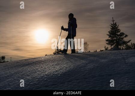 Schöne Seitenansicht einer Silhouette mit Skistöcken von reifen Frau Wandern im Winterwald. Rot gelb Sonnenuntergang, flauschiger Schneehang, junge Tanne, Schnee Stockfoto