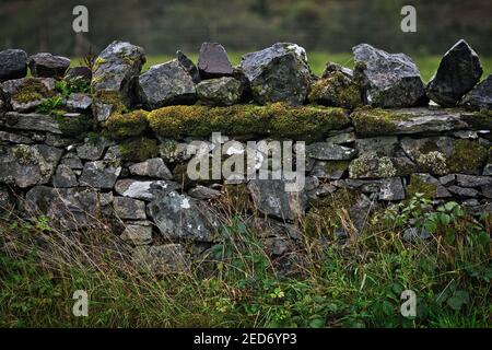 Moosbedeckte Trockensteinmauer auf der Insel skye, schottland. Stockfoto