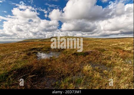 Bleaklow vom Gipfel der Straße A57 aus gesehen, die Sheffield und Manchester verbindet, Peak District National Park, England, Großbritannien Stockfoto