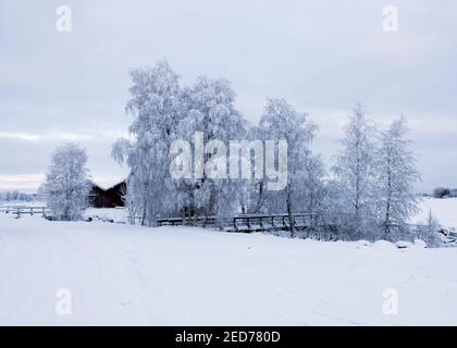 Der Fluss Tornealven, Arktisches Gebiet im Winter, Schnee. Grenze zwischen Schweden und Finnland. In der Nähe des Polarkreises. Stockfoto